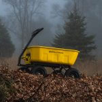 GCSD-8 on a bed of dry leaves